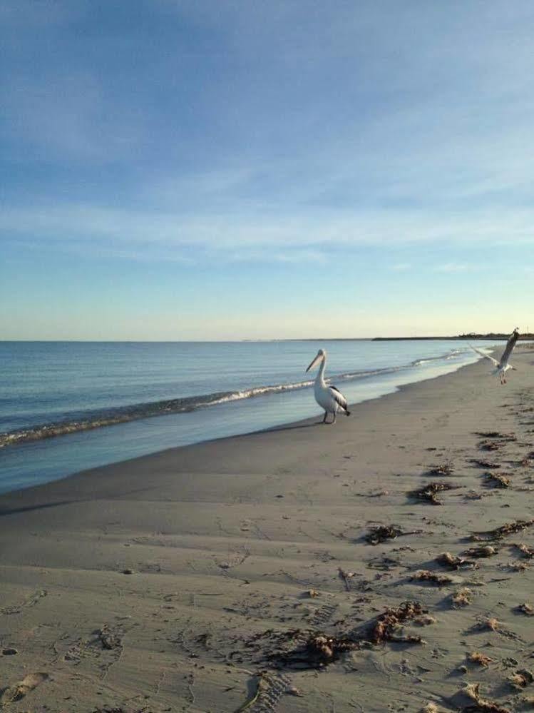 Busselton Guest House ภายนอก รูปภาพ